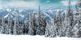 Jakie są pierwsze objawy miażdżycy?