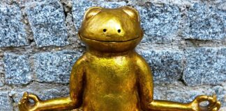 Ile można dostać odszkodowania za Endoprotezę biodra?