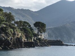 Ile kosztuje dzień pobytu w szpitalu?