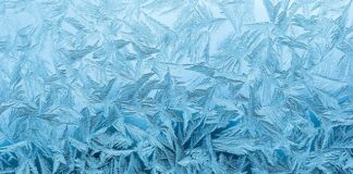 Dlaczego mrozu chodzi w okularach?