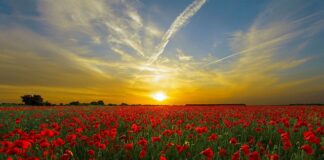 Czy pole dance to trening siłowy?