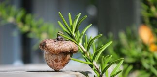 Czy glany to buty BHP?