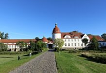 Co brać na odbudowanie flory bakteryjnej?