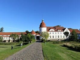 Co brać na odbudowanie flory bakteryjnej?