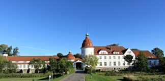 Co brać na odbudowanie flory bakteryjnej?