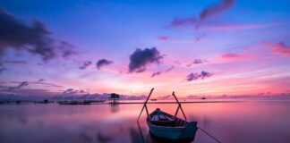 Co jest dobre do picia na nerki?