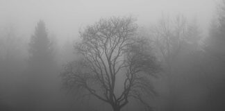 Czy witamina d3 wpływa na rozrzedzenie krwi?