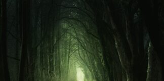 Czy zielona herbata jest dobra na miażdżycę?