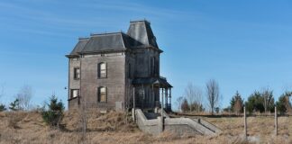 Co to jest psychika ludzka?