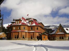 Czy lekarz rodzinny może wystawić skierowanie na ortezę?