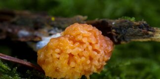 Jak wietrzyć mieszkanie żeby nie było grzyba?