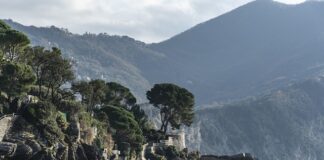 Ile kosztuje 1 łuk aparatu?