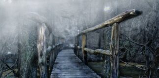 Co to jest mostek w okularach?