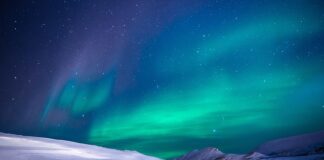 Jakie są naturalne probiotyki?