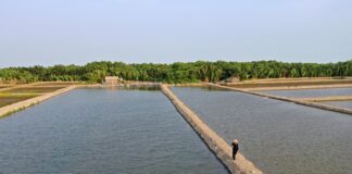 Jaka witamina jest dobra na stawy?