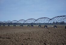 Czy irygator może zastąpić nić?