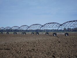 Czy irygator może zastąpić nić?