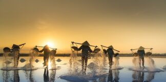 Jaka sól do nawilżacza powietrza?