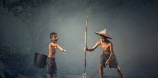 Co ma najwięcej kultur bakterii?