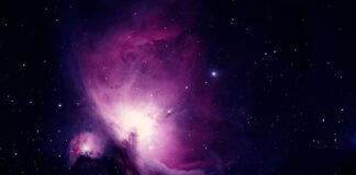 Jakie badania na wykrycie bakterii w organizmie?