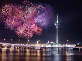 Jakie zioła stosować na miażdżycę?