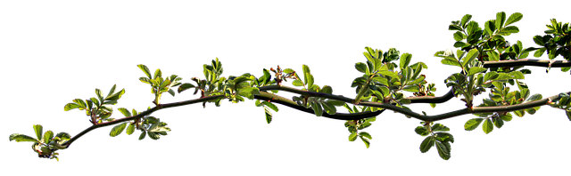 Dlaczego mam zatkany nos a nie mam kataru? Dlaczego mam zatkany nos a nie mam kataru?