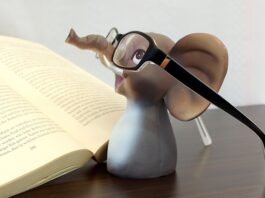 Jak dobrać oprawki do kształtu twarzy?