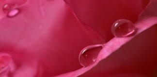 Jak podnieść wilgotność w pokoju?