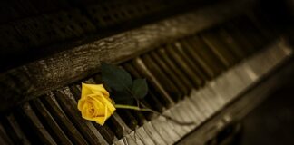 Jaki organ pracuje o 4 rano?