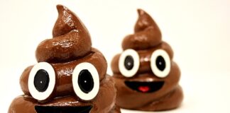 Ile kg kału jest w człowieku?