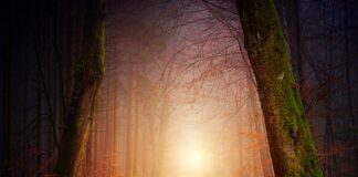 Jak często chodzić do kosmetyczki?