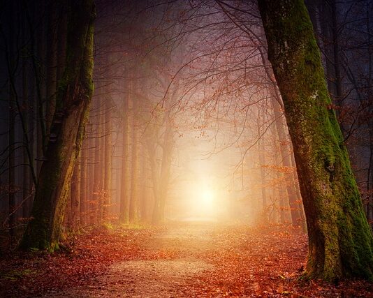 Jak często chodzić do kosmetyczki?