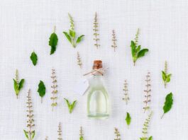 Jakie są zioła moczopędne?