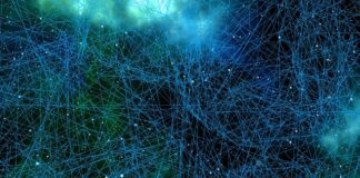 Co niszczy komórki nowotworowe?