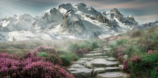 Jak zmiękczyć kamienie kałowe?