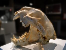 Czy po zdjęciu szwów można iść do pracy?