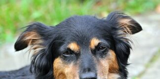 Co ułatwia zasypianie?