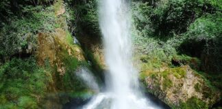 Dlaczego chce mi się sikać a nie mogę?