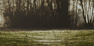 Jak wyciągnąć nić dentystyczną?