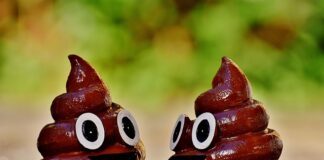 Ile waży kał w jelitach?