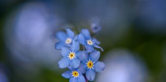 Czy Apap Noc pomaga w zasypianiu?