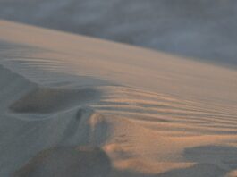 Jak rozpoznać katar bakteryjny?