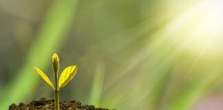 Jak zatrzymać rozwój wady wzroku?