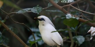 Co można zrobić z pasów transportowych?