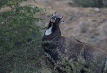 Czego nie wolno robić po niciach?