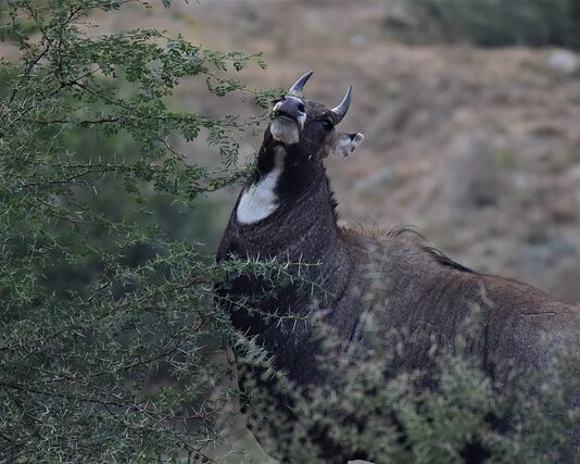 Czego nie wolno robić po niciach?