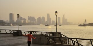 Ile czasu nie pić alkoholu żeby zregenerować wątrobę?