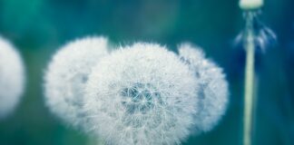 Co jest najbardziej moczopędne?